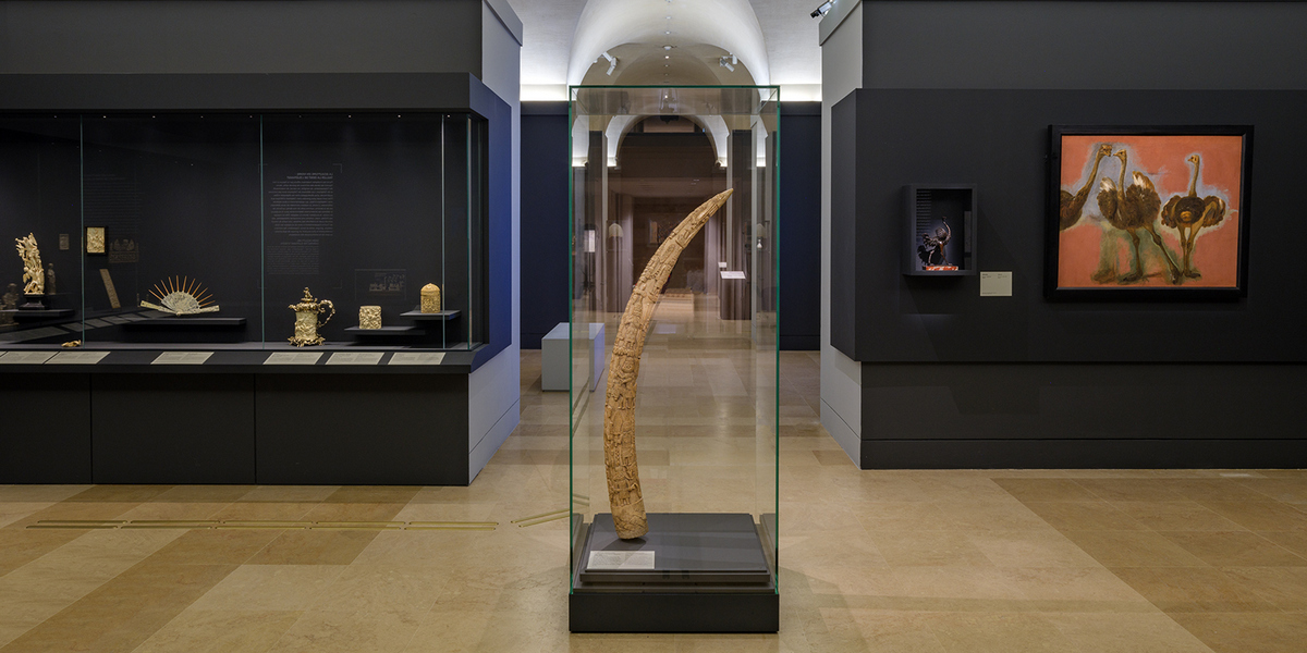 Exposition temporaire : Venus d'ailleurs - Musée du Louvre  - 